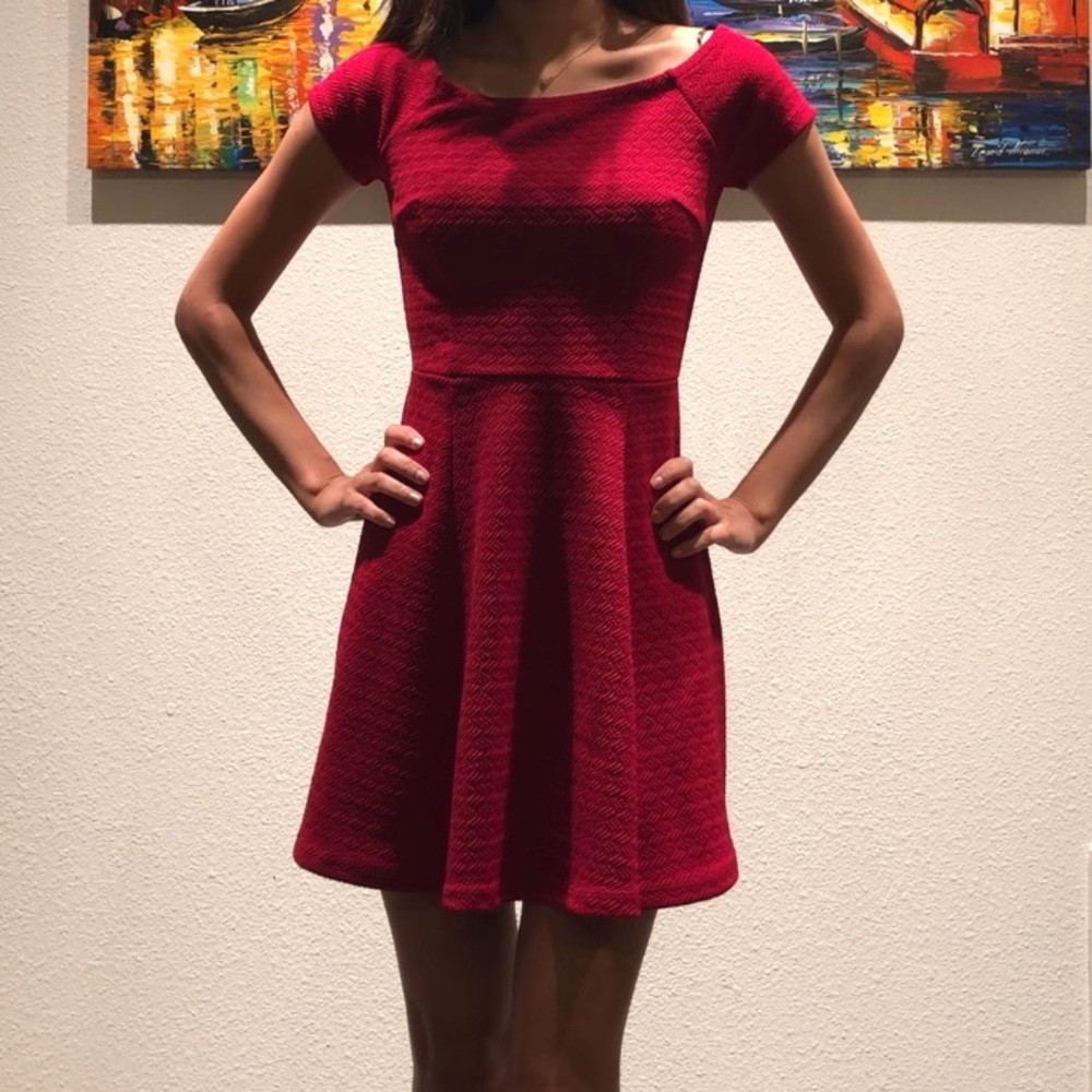 Fit and Flare Red Mini Dress